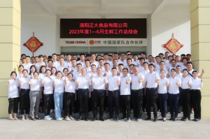 總結(jié)過(guò)去，計(jì)劃未來(lái)，協(xié)同創(chuàng)新，再創(chuàng)佳績(jī)！洛陽(yáng)正大舉行2023年上半年工作總結(jié)會(huì)議